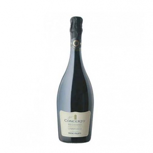 bacheca brindisi donne Lambrusco Reggiano Frizzante Secco DOC “Concerto” 2016 - Medici Ermete