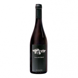 cerco donna milano Umbria Pinot Nero IGT “Notturno dei Calanchi” 2013 - Paolo e Noemia d’Amico