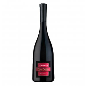 Lambrusco di Modena DOC Spumante Dry "Pruno Nero" - Cleto Chiarli