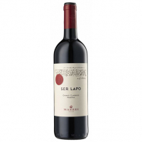 ser lapo 2016