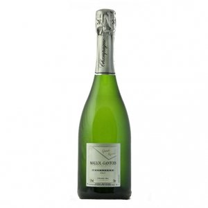 champagne b mallol-gantois
