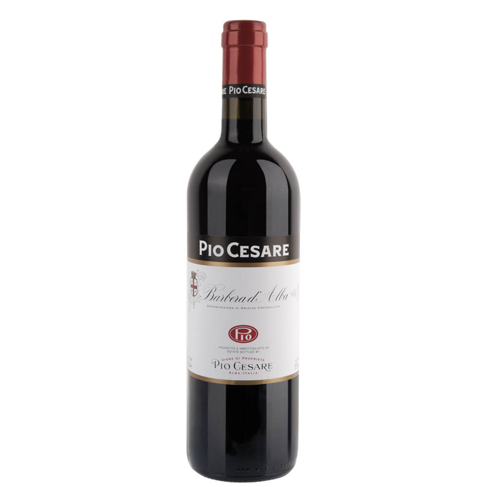 Barbera d'Alba DOC 2018 - Pio Cesare