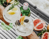 Tequila, Rum, Whisky e Gin a -10%