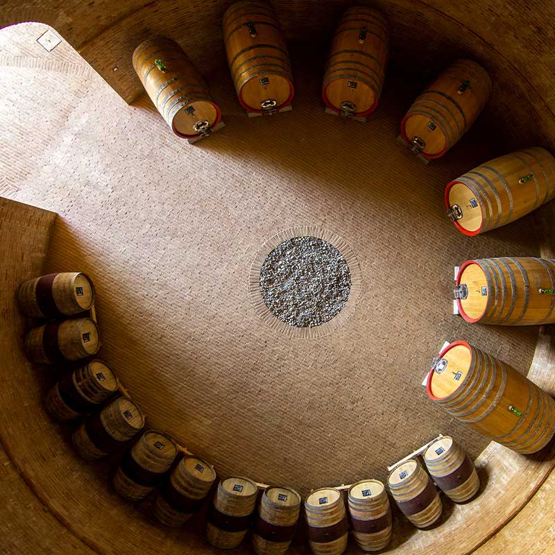 Podere Le Ripi