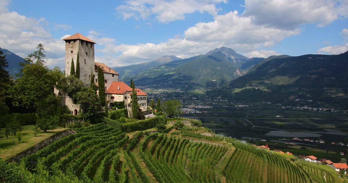 vigneti alto adige