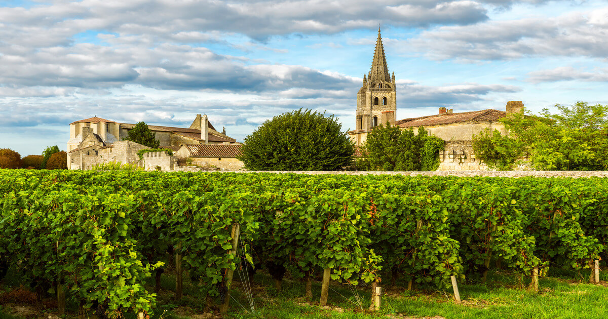 villaggio francese vitigno rosso