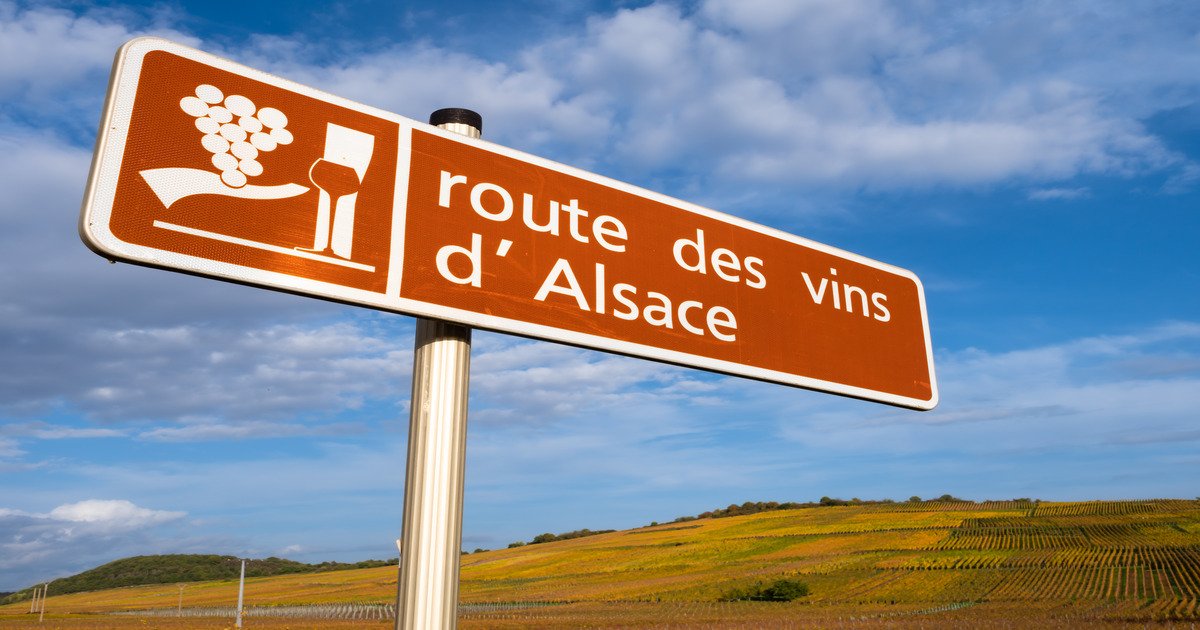 strada vini alsazia