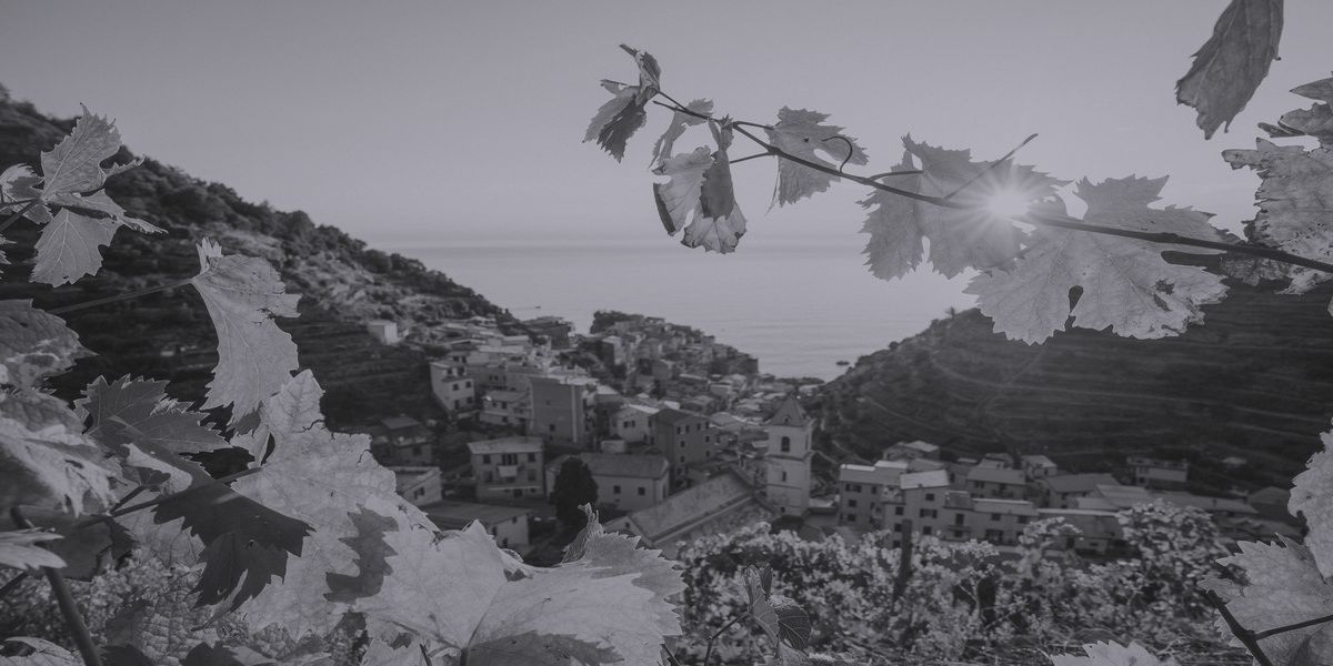 vigneti liguria
